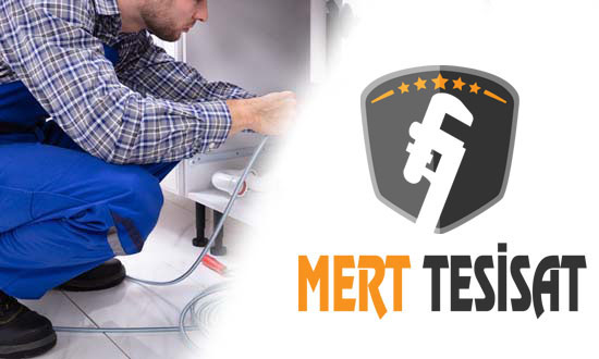 İzmir Tıkanıklık Açma